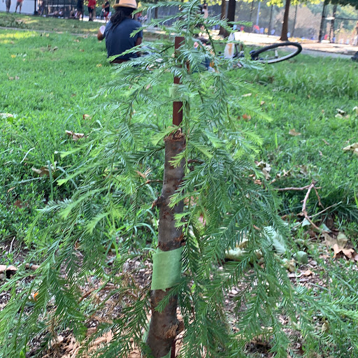 Park «Maria Hernandez Park», reviews and photos, Knickerbocker Ave, Brooklyn, NY 11237, USA