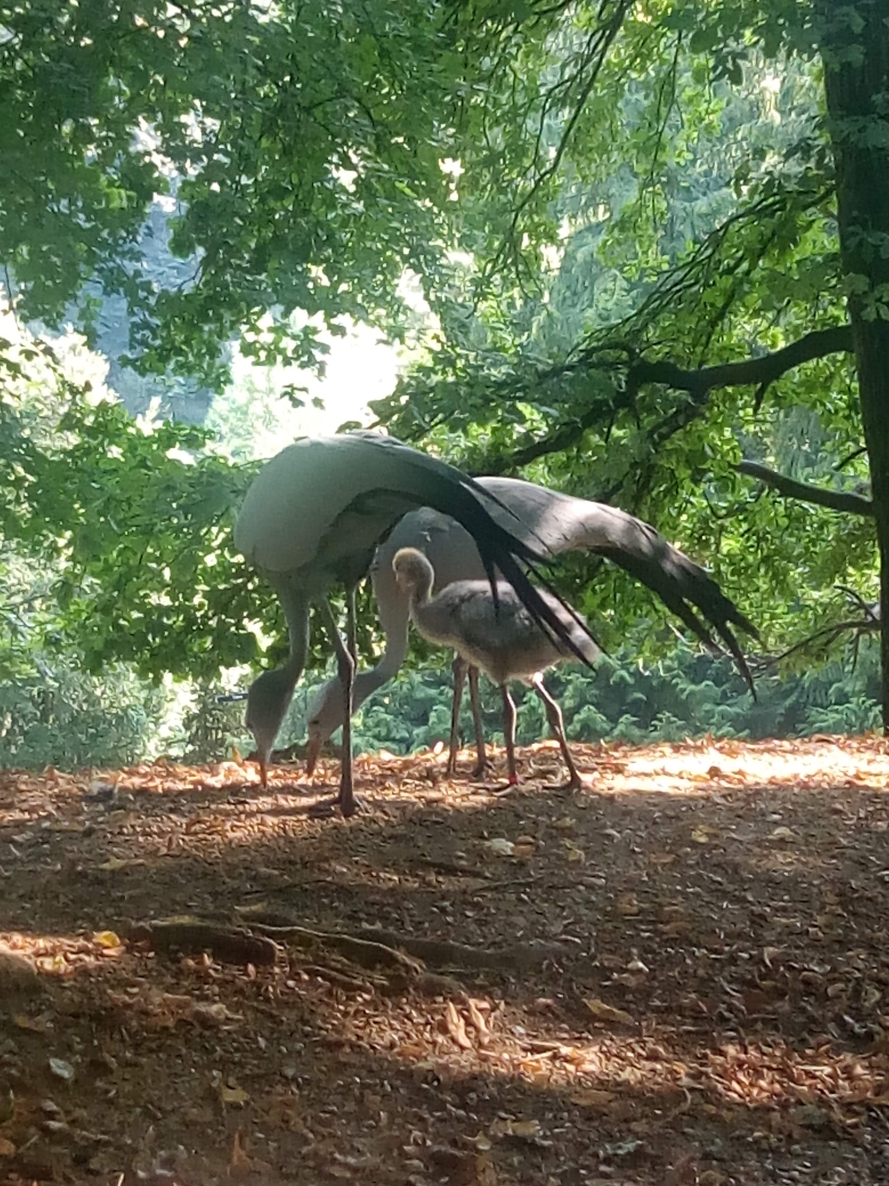 Photo n° 8 de l'avis de France.u fait le 11/10/2018 à 15:31