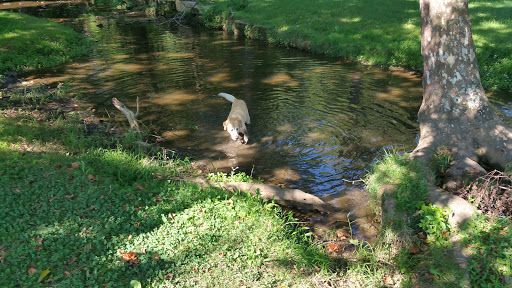 Park «Hounz Lane Park», reviews and photos, 2300 Hounz Ln, Louisville, KY 40223, USA