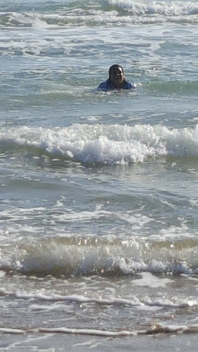 Shoe Store «DSW Designer Shoe Warehouse», reviews and photos, 3300 W Frontage Rd, McAllen, TX 78501, USA