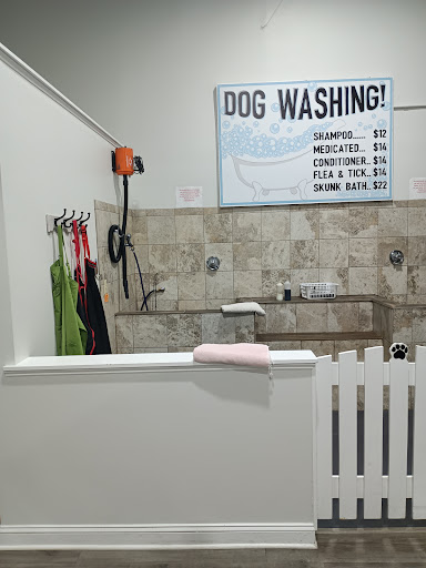 Pet Supply Store «The Natural Pet Outlet», reviews and photos, 3380 Fairfield Ave, Bridgeport, CT 06605, USA