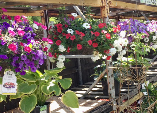 Florist «Sunshine Flowers», reviews and photos, 4509 Rainbow Blvd, Kansas City, KS 66103, USA