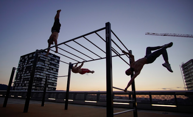 Rezensionen über Street Workout Park ZH Rooftop in Zürich - Sportstätte