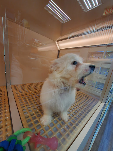 Pet Store «The Pet Store», reviews and photos, 1710 Lincoln Way E #18, Chambersburg, PA 17202, USA