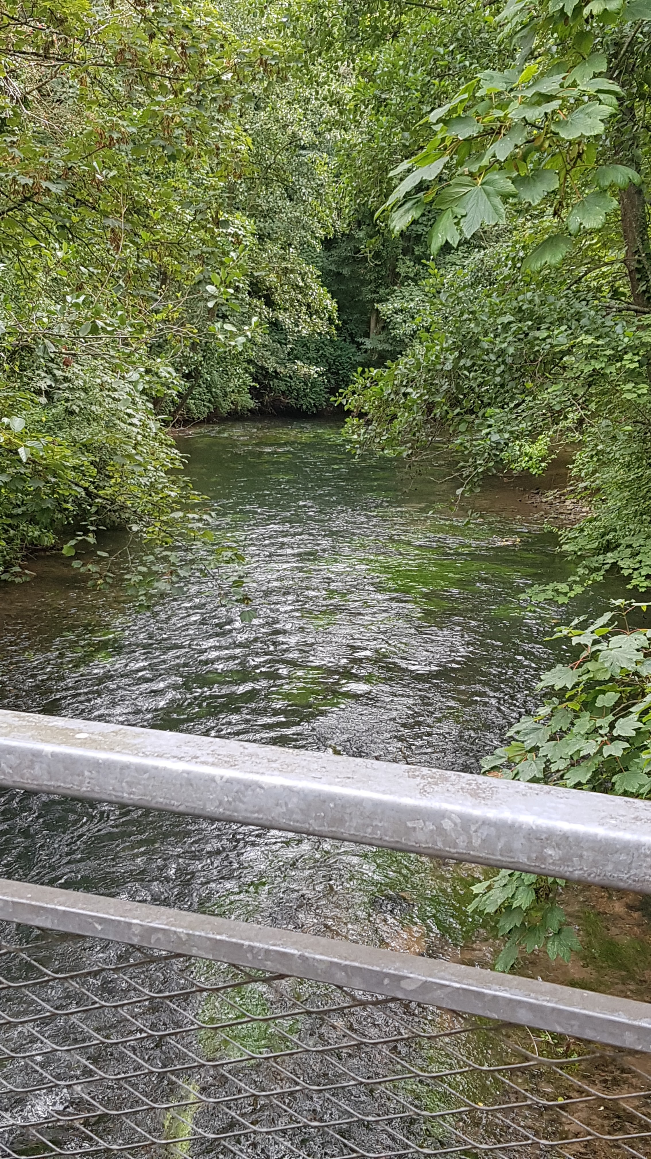 Photo n° 5 de l'avis de Sylvana.� fait le 22/08/2022 à 19:10