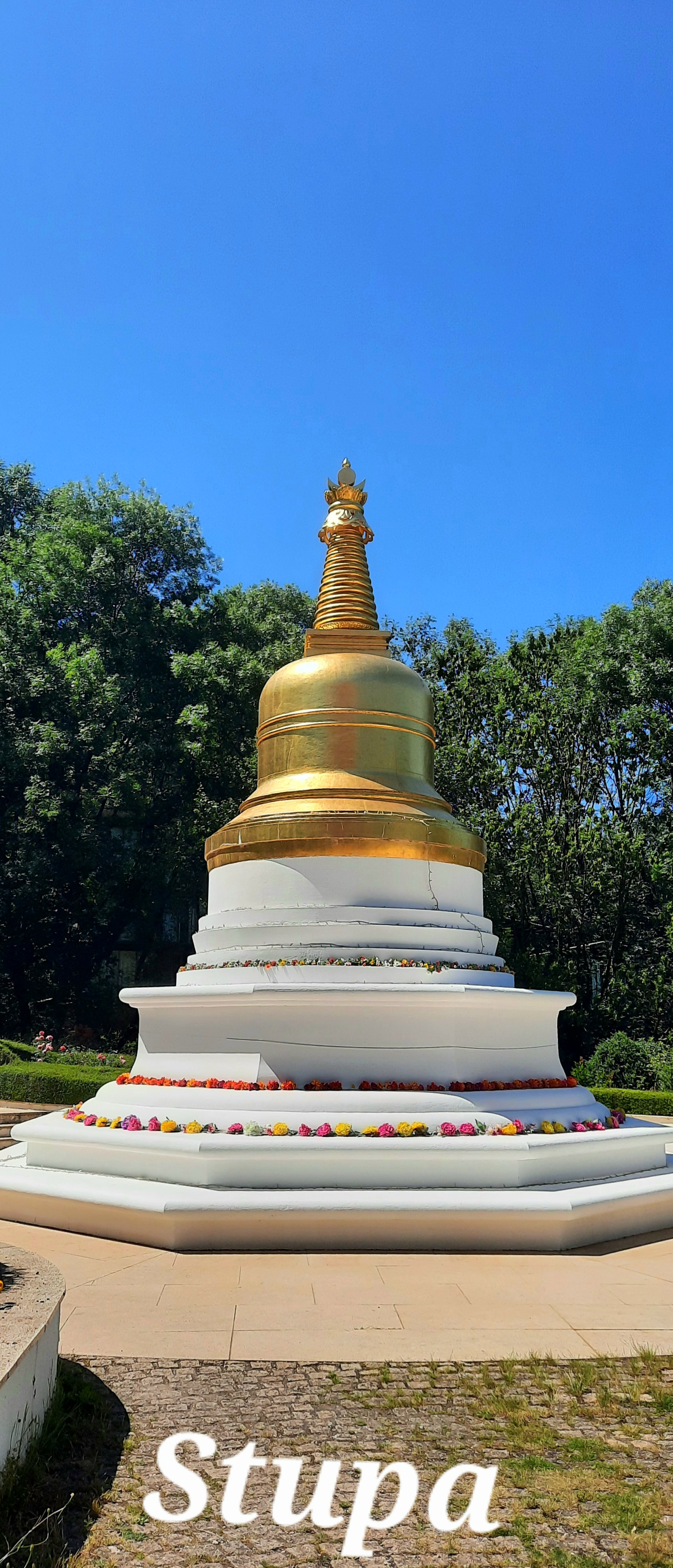 Photo n° 5 de l'avis de Jocelyne.a fait le 26/06/2023 à 05:25