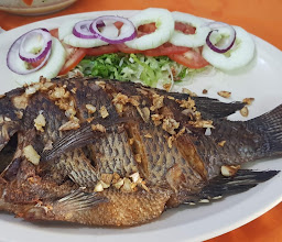 Coctelería Rock and Roll photo