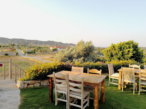 Datça Bağcılık Ve Şarapçılık