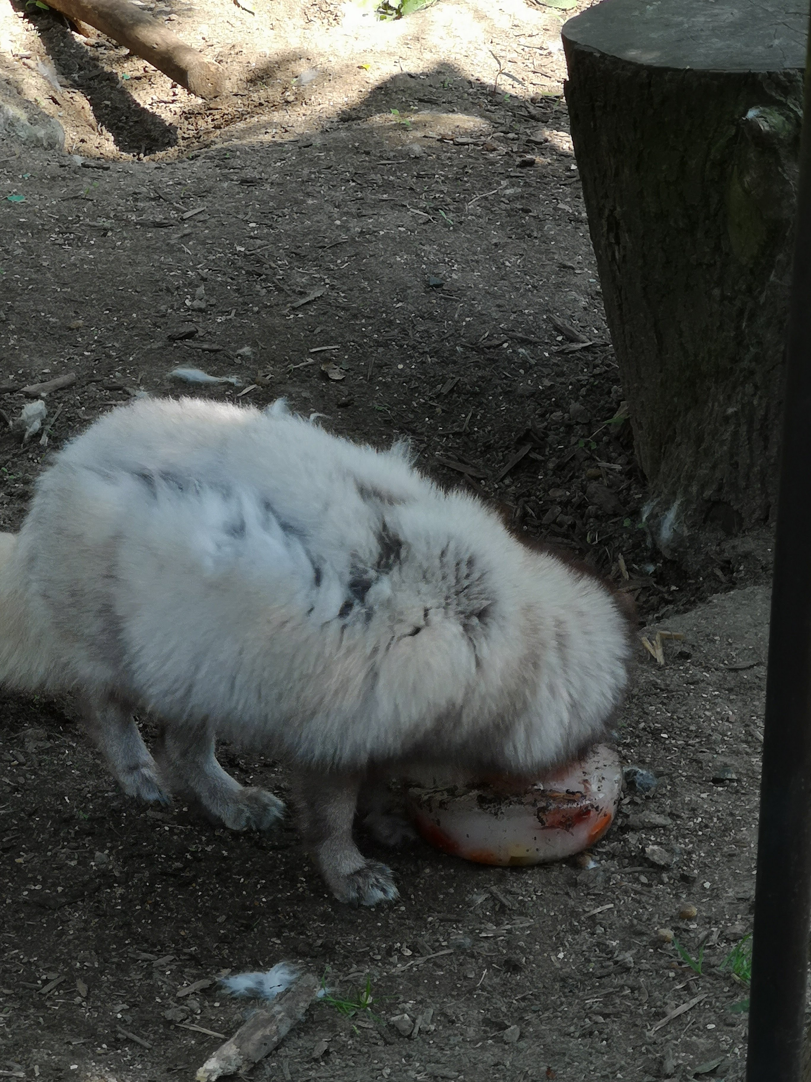 Photo n° 31 de l'avis de Bryan.r fait le 24/04/2018 à 19:19