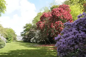 Trewithen Gardens image