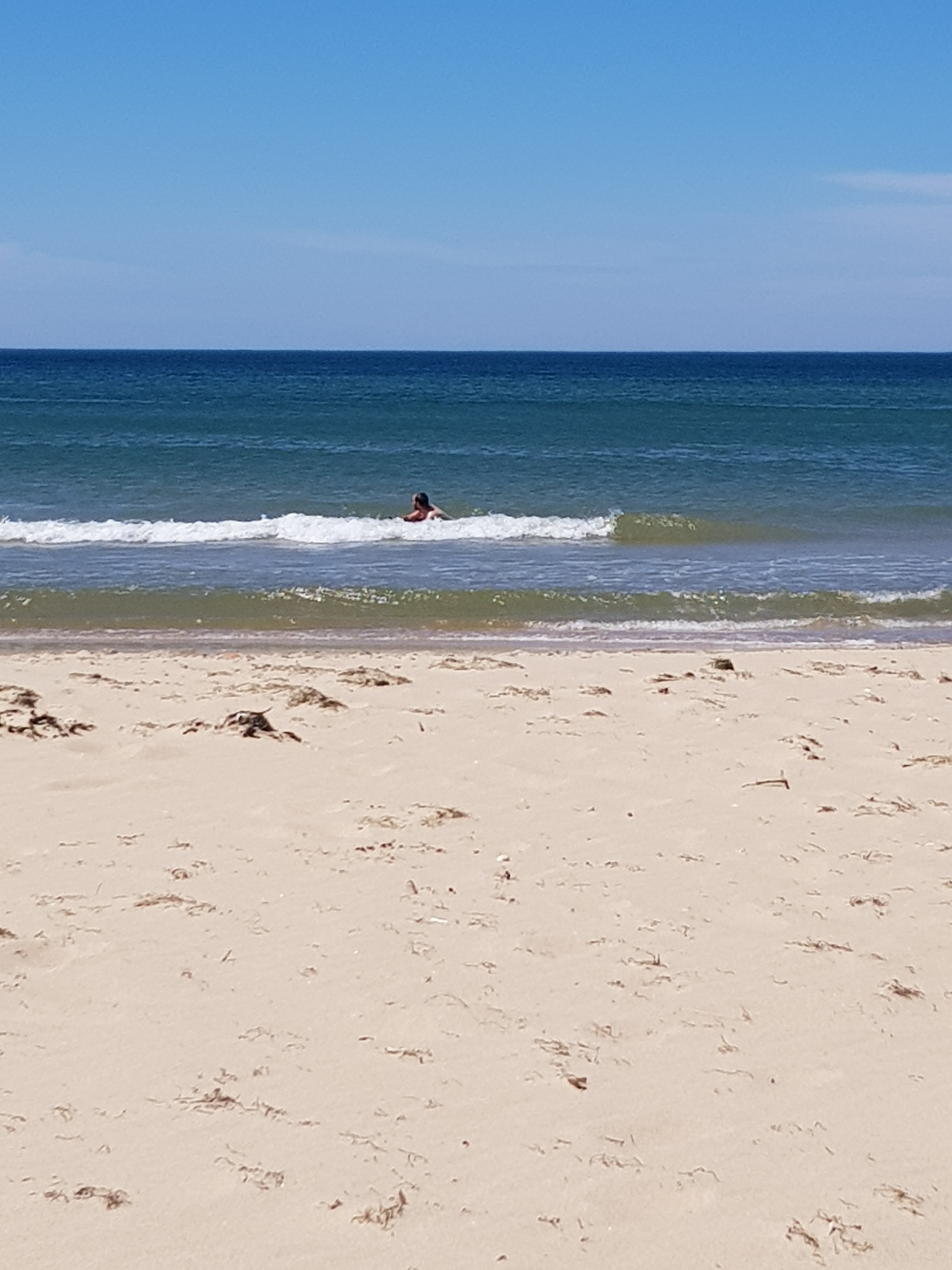 Photo n° 2 de l'avis de Rose.a fait le 12/08/2022 à 12:53