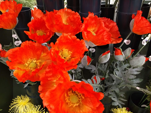 Craft Store «Hobby Lobby», reviews and photos, 6718 Gilmore Rd, Hamilton, OH 45011, USA