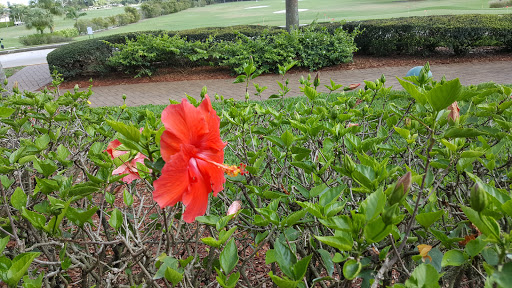 Golf Club «Hibiscus Golf Club», reviews and photos, 5375 Hibiscus Dr, Naples, FL 34113, USA