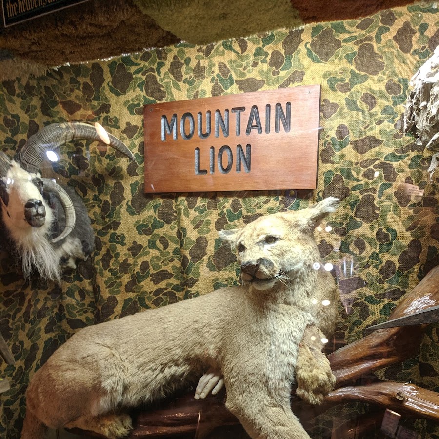 Taxidermy Hall Fame of NC