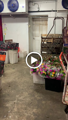 Florist «The Flower Place», reviews and photos, 860 NE 79th St, Miami, FL 33138, USA