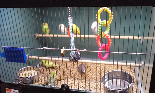 Pet Supply Store «Pet Supplies Plus», reviews and photos, 2155 Delaware Ave, Buffalo, NY 14216, USA