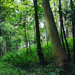 Photo n°4 de l'avis de Zobo.5 fait le 30/08/2020 à 18:02 sur le  Avalon Wellness and Medical Center à Sgonico