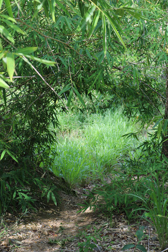 Top 20 cửa hàng loa nansin Huyện Đăk Pơ Gia Lai 2022