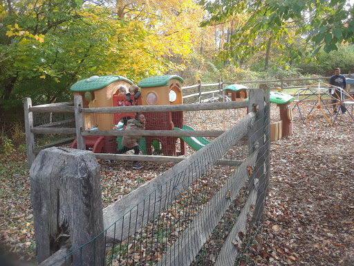 Day Care Center «Little Lambs Day Care, Inc.», reviews and photos, 837 Sumneytown Pike, Lansdale, PA 19446, USA