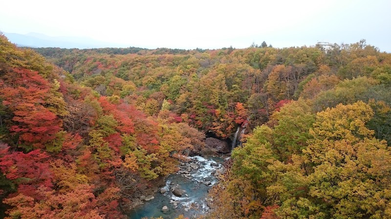 岩手県県民の森（みんなの広場）