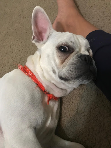 Insurance Agency «Crystal Martinez - State Farm Insurance Agent», reviews and photos