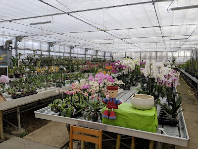 Boffo Frères Horticulture à Saint-Jory
