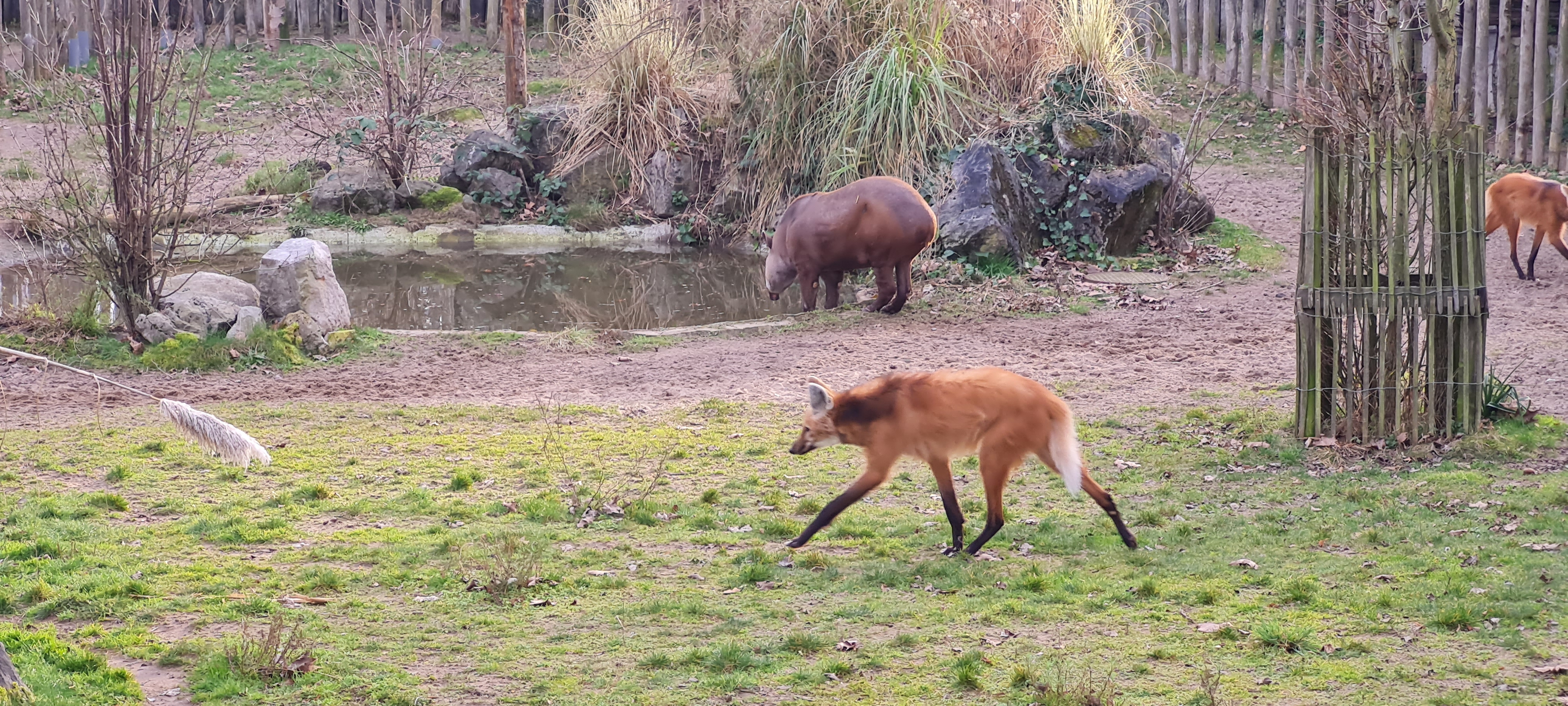 Photo n° 3 de l'avis de Laura.o fait le 16/02/2023 à 09:45