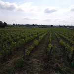 Photo n° 4 de l'avis de Liz.e fait le 26/05/2019 à 20:39 pour Château de Chassagne-Montrachet / Bader- Mimeur à Chassagne-Montrachet