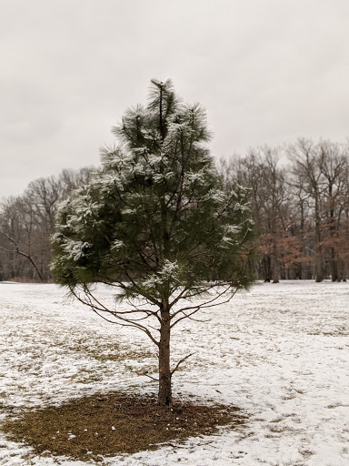 Nature Preserve «Harms Woods», reviews and photos, Harms Rd, Glenview, IL 60025, USA