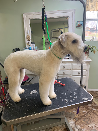 Bark'N Barber Pet Salon