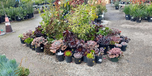 Garden Center «International Garden and Floral Design Center», reviews and photos, 155 N Sepulveda Blvd, El Segundo, CA 90245, USA