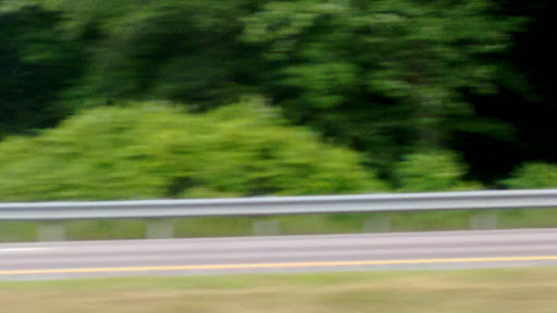 Nature Preserve «Centennial Woods Natural Area», reviews and photos, I-89, Burlington, VT 05401, USA