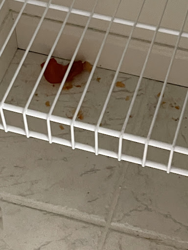 House Cleaning Service «Molly Maid», reviews and photos, 3690 W Clay St, St Charles, MO 63301, USA