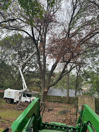A. Gurrola Tree Service - Photo 4 - Car repair in , Longview