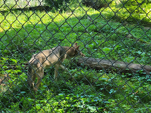 Zoo «Trevor Zoo at Millbrook School», reviews and photos, 282 Millbrook School Rd, Millbrook, NY 12545, USA