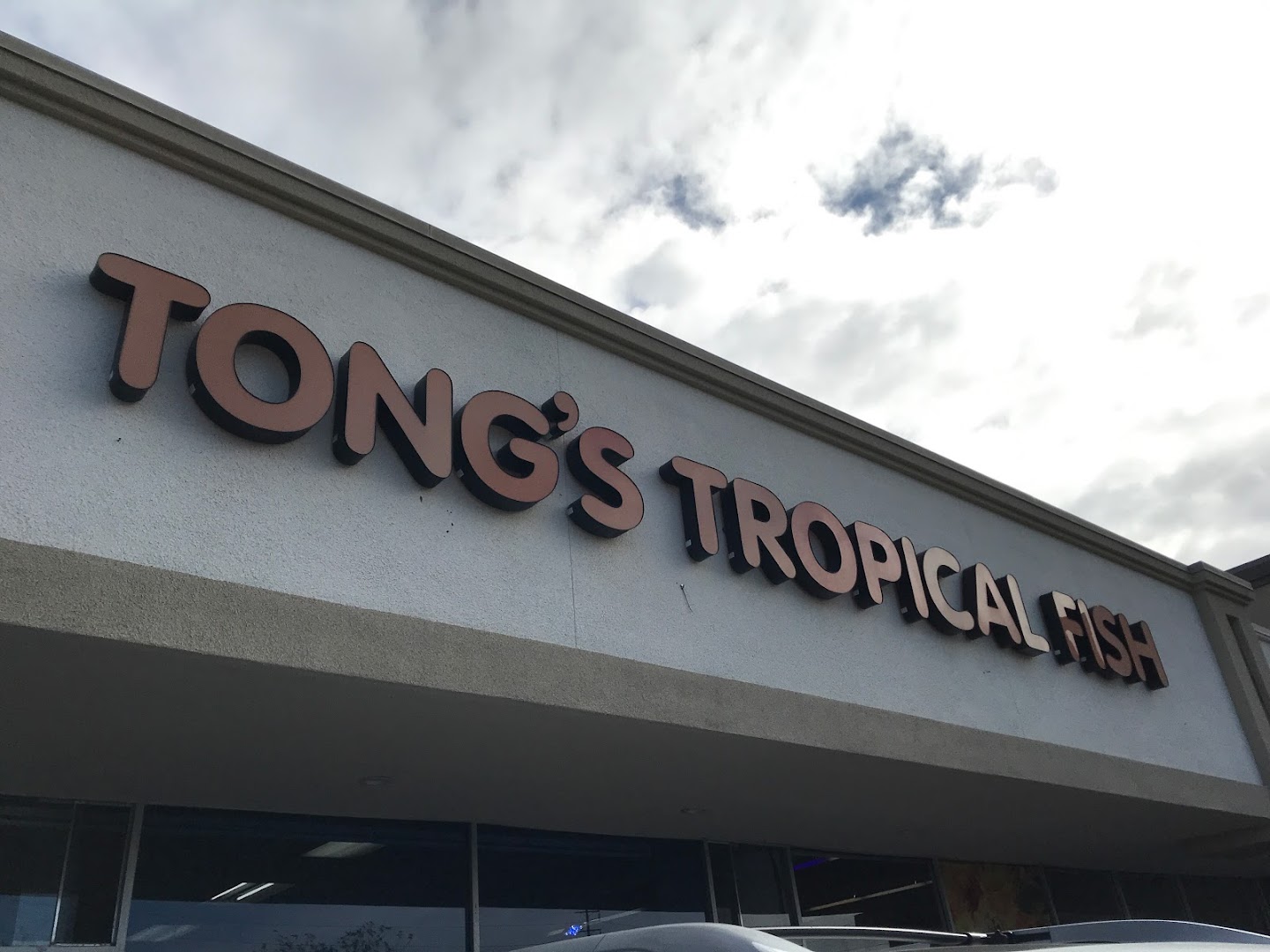 Tong's Tropical Fish & Pets