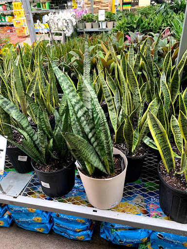 Home Improvement Store «The Home Depot», reviews and photos, 14000 Georgia Avenue, Aspen Hill, MD 20906, USA