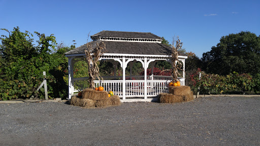 Orchard «George Hill Orchards», reviews and photos, 582 George Hill Rd, South Lancaster, MA 01561, USA