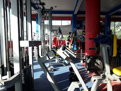 GYM VIKINGOS - Padua 254, 56580 San Francisco Acuautla, Méx., Mexico