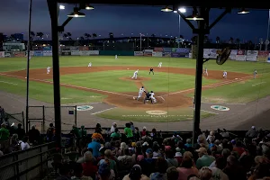 Daytona Tortugas image