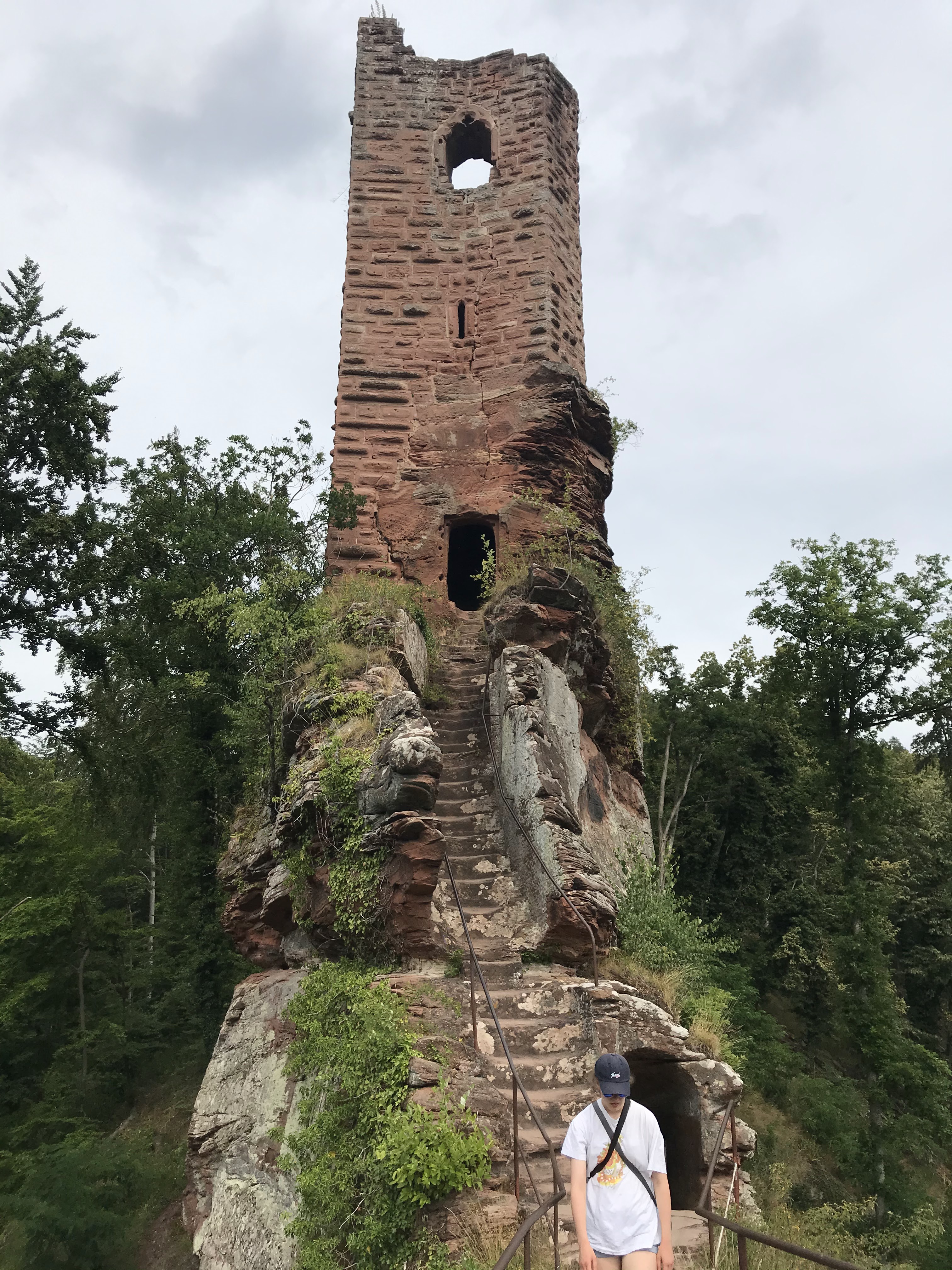 Photo n° 6 de l'avis de Philippe.o fait le 20/07/2020 à 11:01