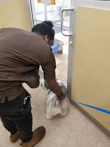 Pet Supply Store «Petco Animal Supplies», reviews and photos, 86 Storrs Rd, Mansfield Center, CT 06250, USA