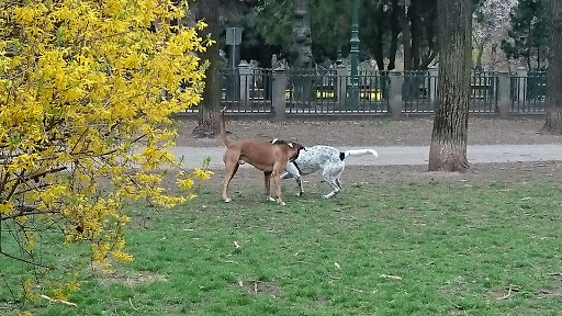 Waldmüller Park