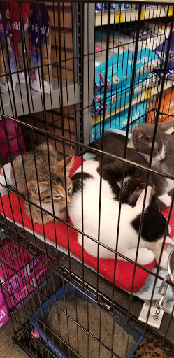 Pet Supply Store «PetSmart», reviews and photos, 5521 Mirage St, Yorba Linda, CA 92887, USA