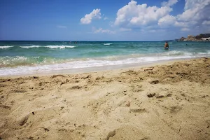 Spiaggia di Lido Conchiglie image