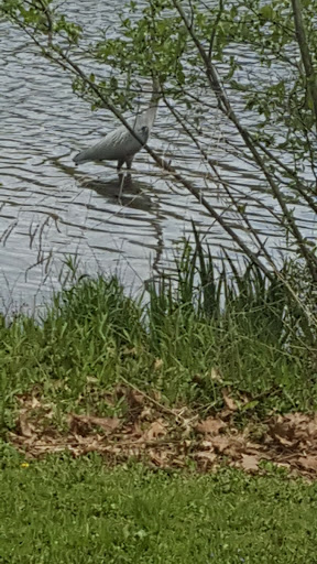 Park «Parks Lake», reviews and photos, Academy St, Rockaway, NJ 07866, USA