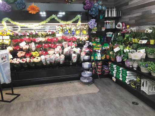 Grocery Store «ShopRite of Tallman», reviews and photos, 250 NY-59, Airmont, NY 10901, USA