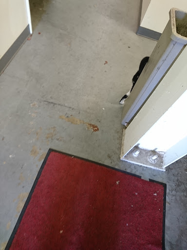 Air Conditioning Contractor «Midway Services», reviews and photos, 4677 118th Ave N, Clearwater, FL 33762, USA