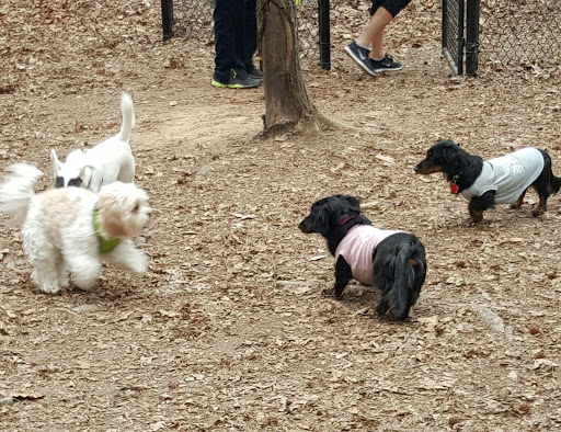 Park «Brook Run Park», reviews and photos, 4770 N Peachtree Rd, Dunwoody, GA 30338, USA