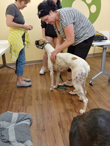 Pet Supply Store «PetPeople», reviews and photos, 3330 Washtenaw Ave, Ann Arbor, MI 48104, USA